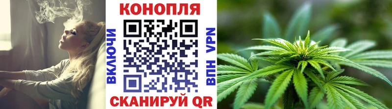 Конопля White Widow  Купить где  Канск 
